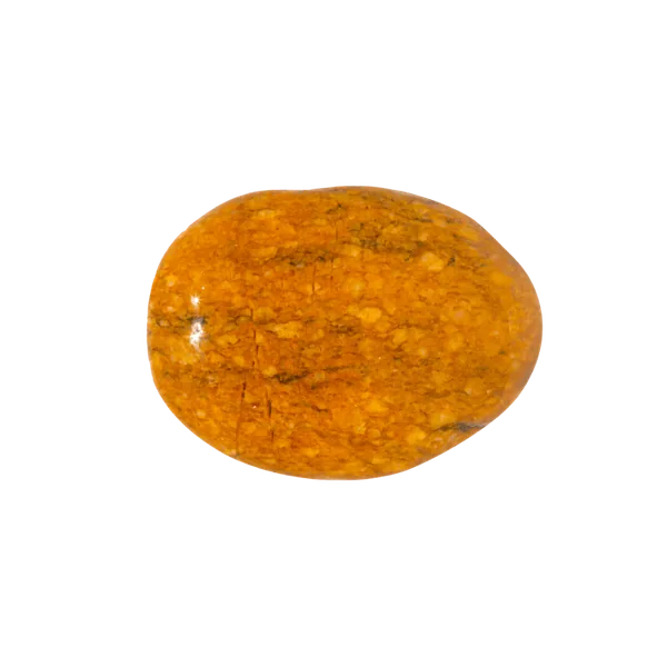 मूंगा (Red Coral)